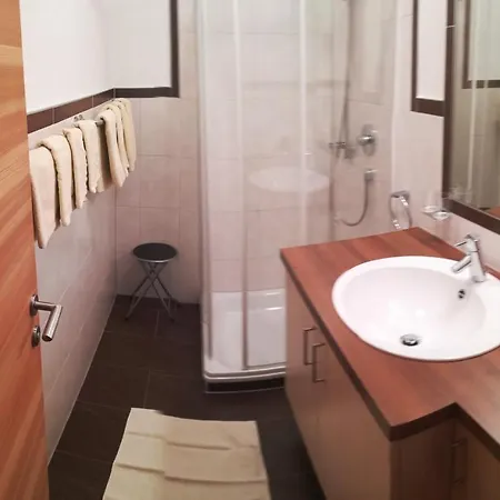 Abraham Apartment Nauders