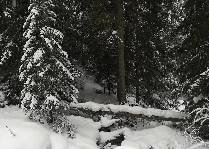 Abraham Apartmán Nauders