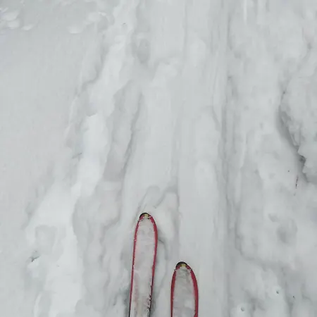 Abraham Daire Nauders