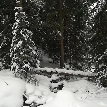 Abraham Daire Nauders