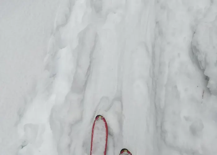 Abraham Daire Nauders